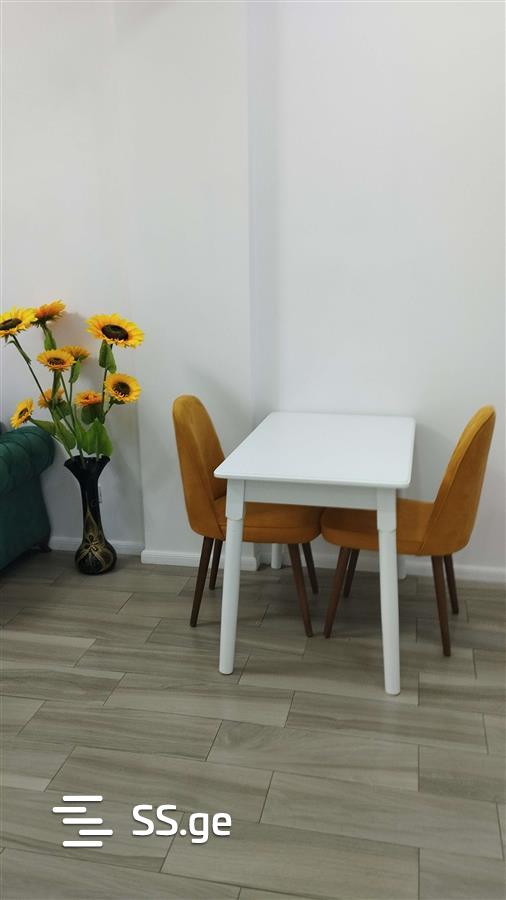 2 Room Flat Daily Rent. Didube view 9