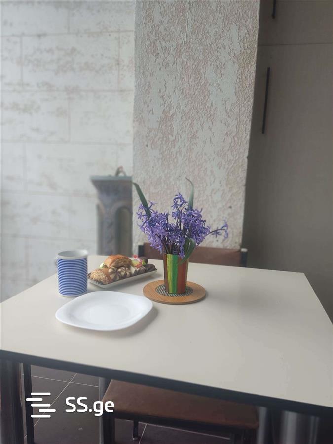 3 Room Flat Daily Rent. Isani view 10