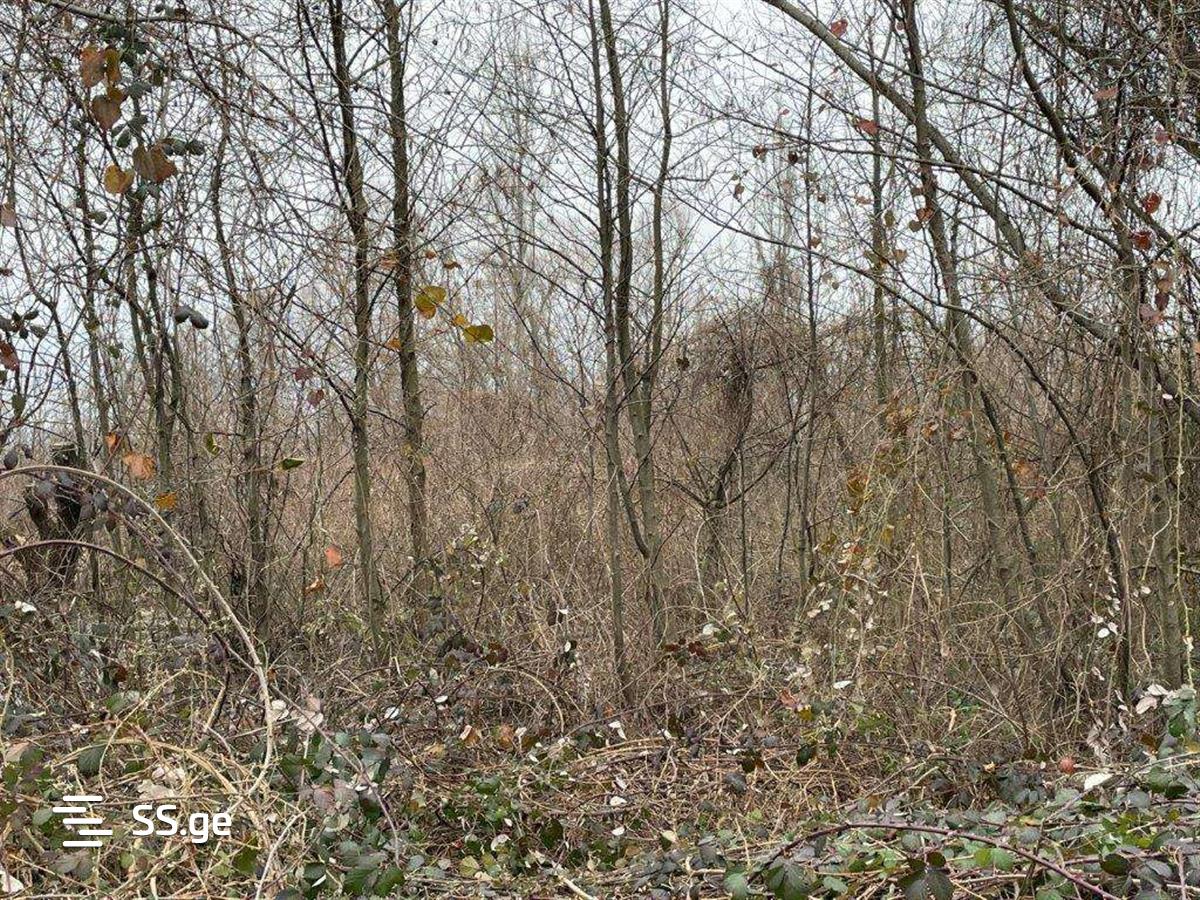 Land For Sale. Tskaltubo view 4