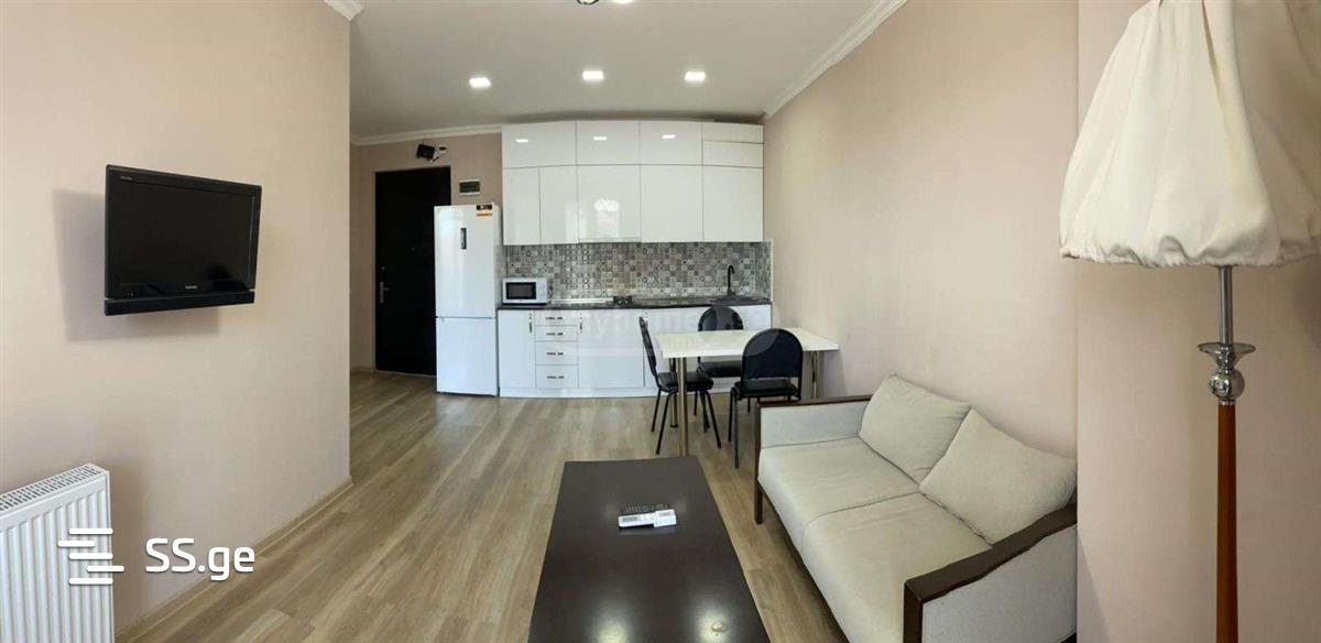 2 Room Flat For Rent. Nadzaladevi view 2