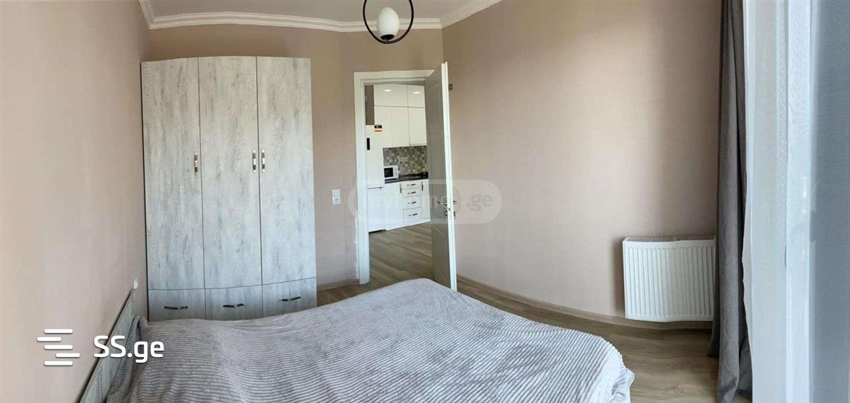 2 Room Flat For Rent. Nadzaladevi view 3