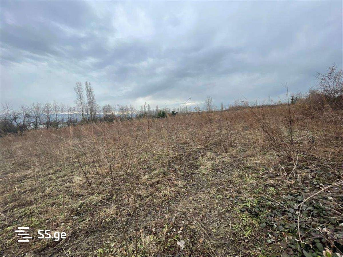 Land For Sale. Tskaltubo view 6
