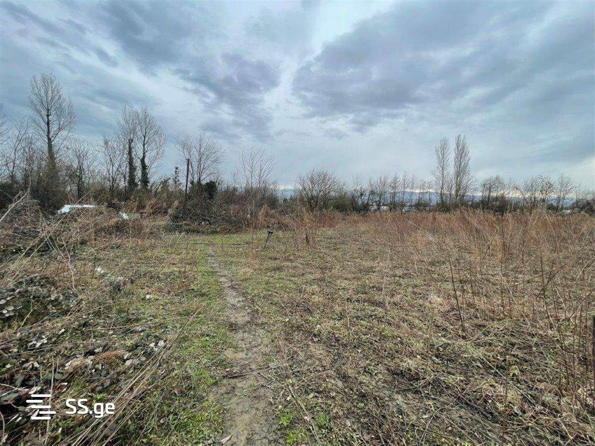 Land For Sale. Tskaltubo view 7