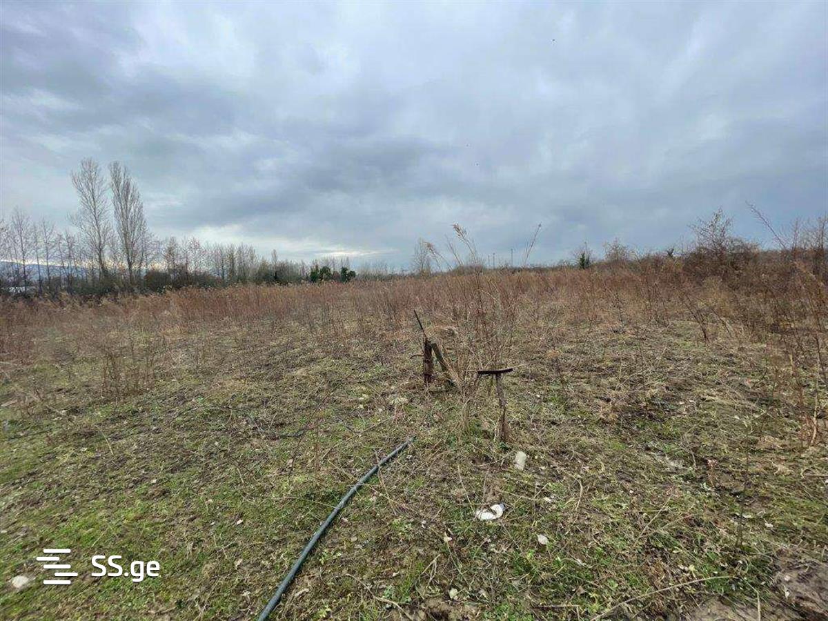 Land For Sale. Tskaltubo view 1