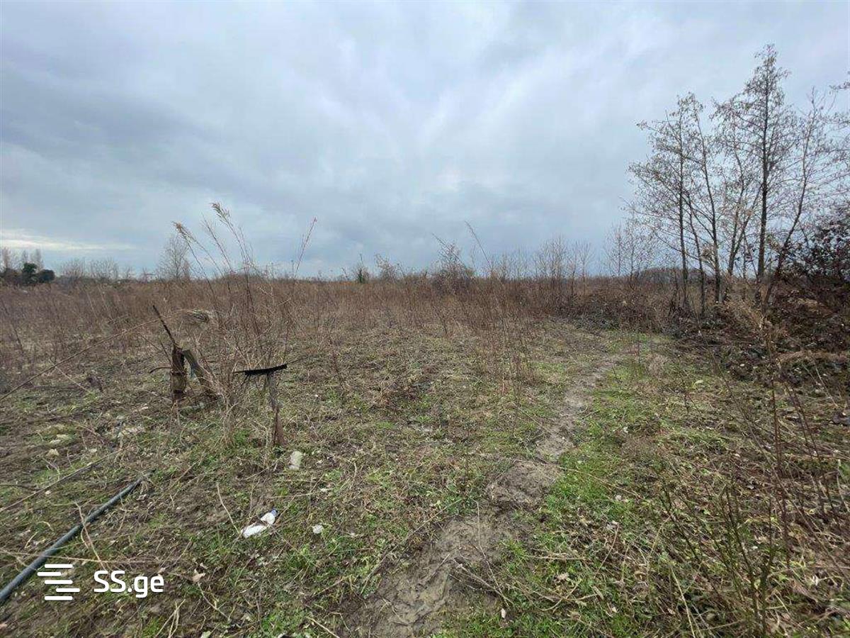 Land For Sale. Tskaltubo view 3