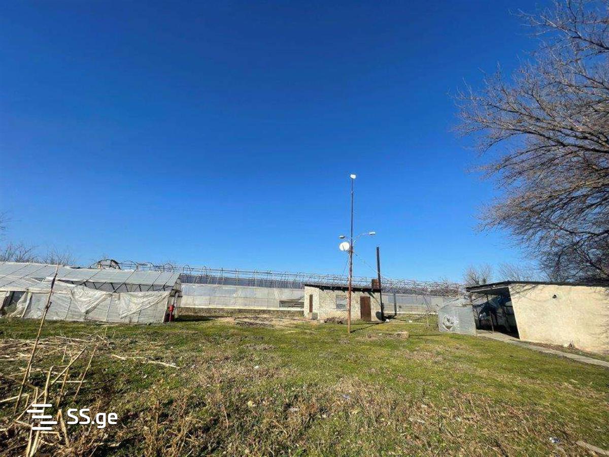 For Sale Satsarmoo Commercial Space Tsqaltuboshi view 13