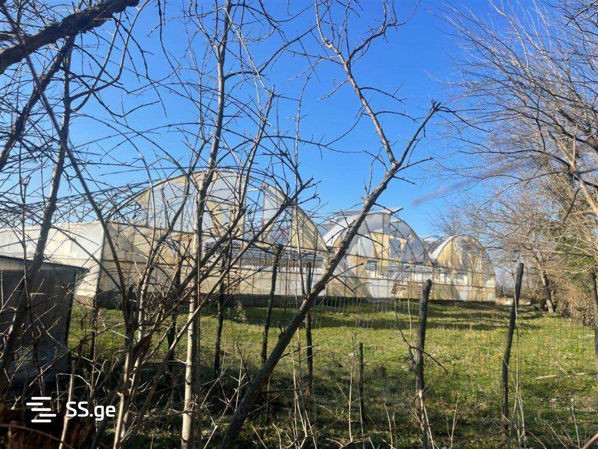 For Sale Satsarmoo Commercial Space Tsqaltuboshi view 19