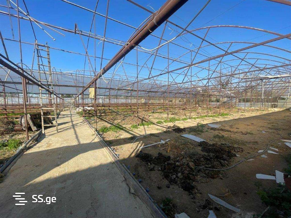 For Sale Satsarmoo Commercial Space Tsqaltuboshi view 15