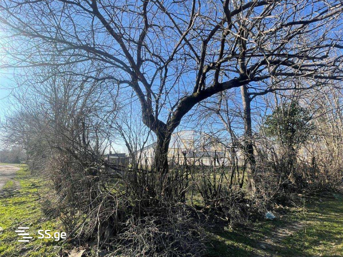 For Sale Satsarmoo Commercial Space Tsqaltuboshi view 21