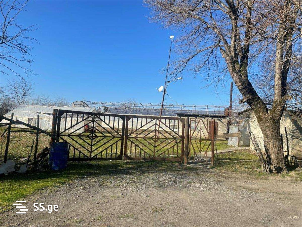 For Sale Satsarmoo Commercial Space Tsqaltuboshi view 22
