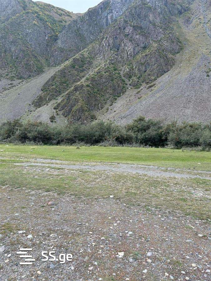Land For Sale. Kazbegi view 3