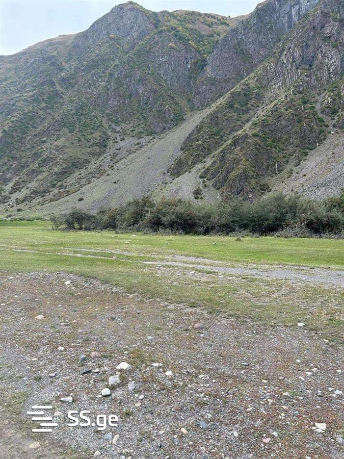 Land For Sale. Kazbegi view 1