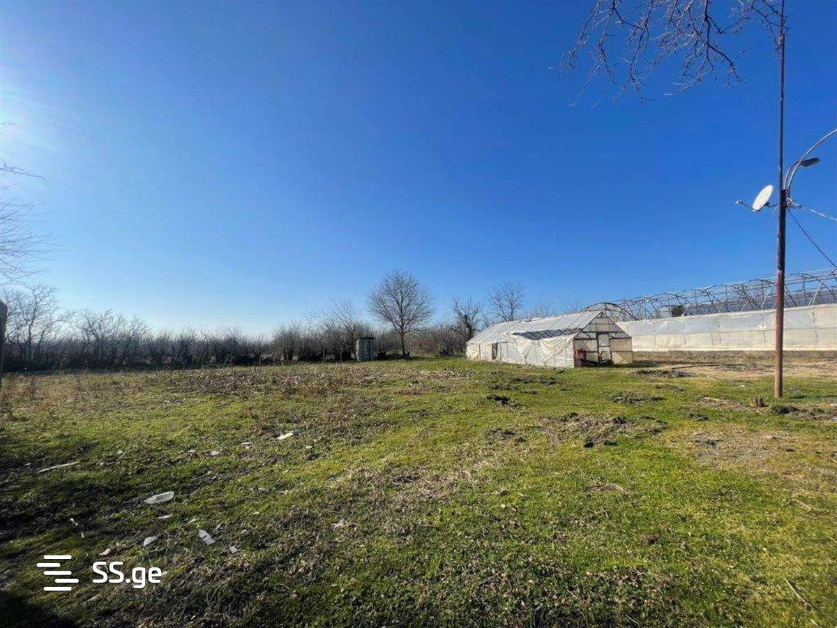 For Sale Satsarmoo Commercial Space Tsqaltuboshi view 14