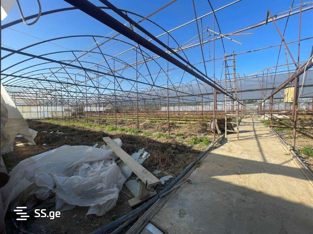For Sale Satsarmoo Commercial Space Tsqaltuboshi view 17