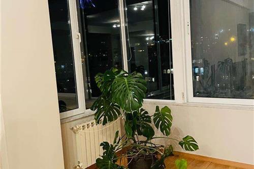 https://static.ss.ge/20230922/1_6ef7ee88-ee68-4b96-988c-59d147542c96_Thumb.jpg