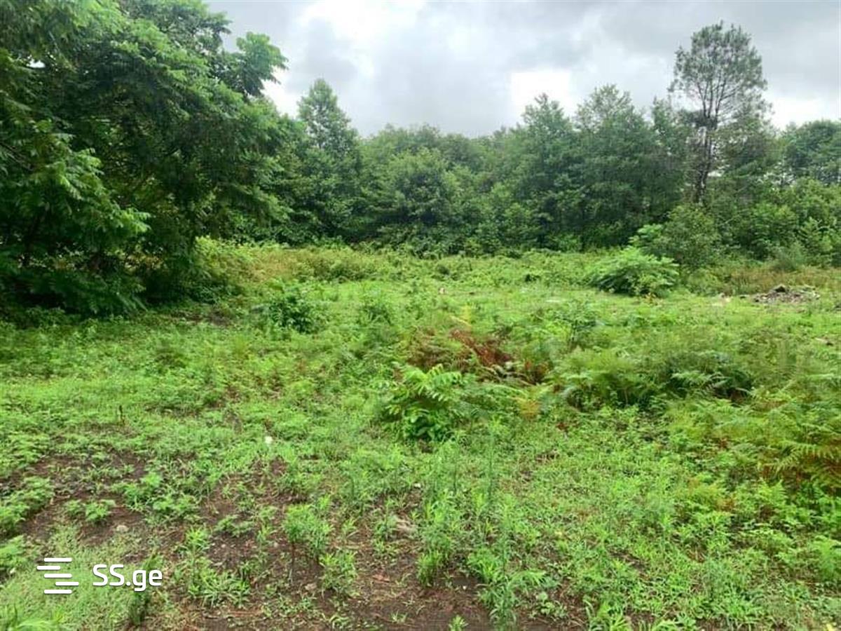 Land For Sale. Shekvetili view 1