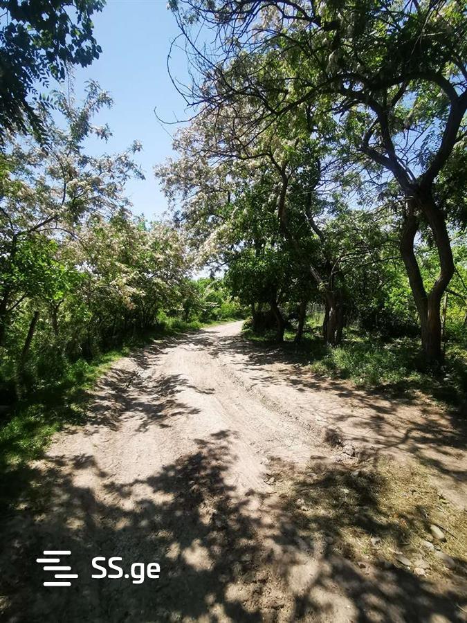 Land For Sale. Gori, 4 of 4