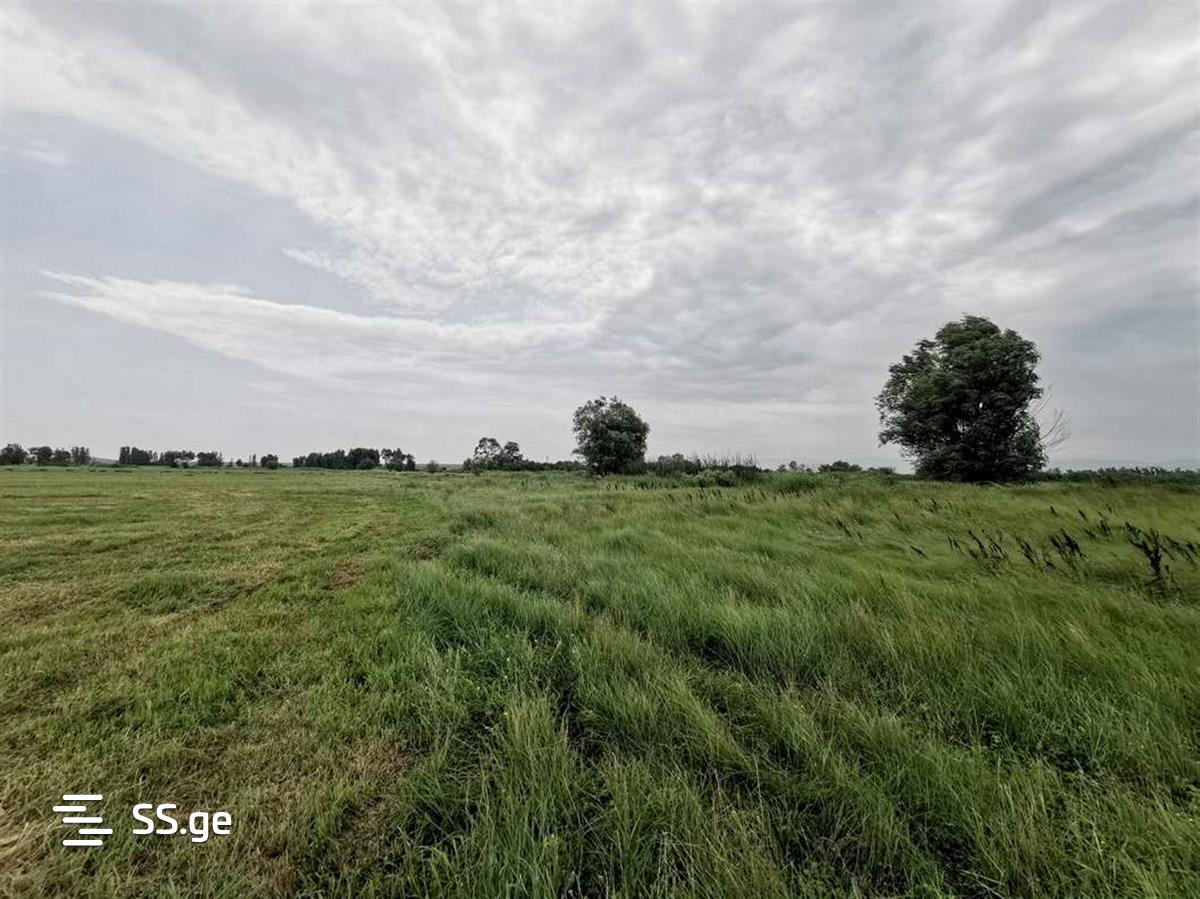 Продажа Земля в гардабани view 5