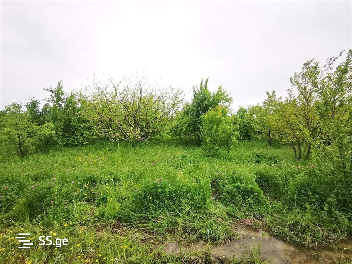 Land For Sale. Gori, 4 of 4