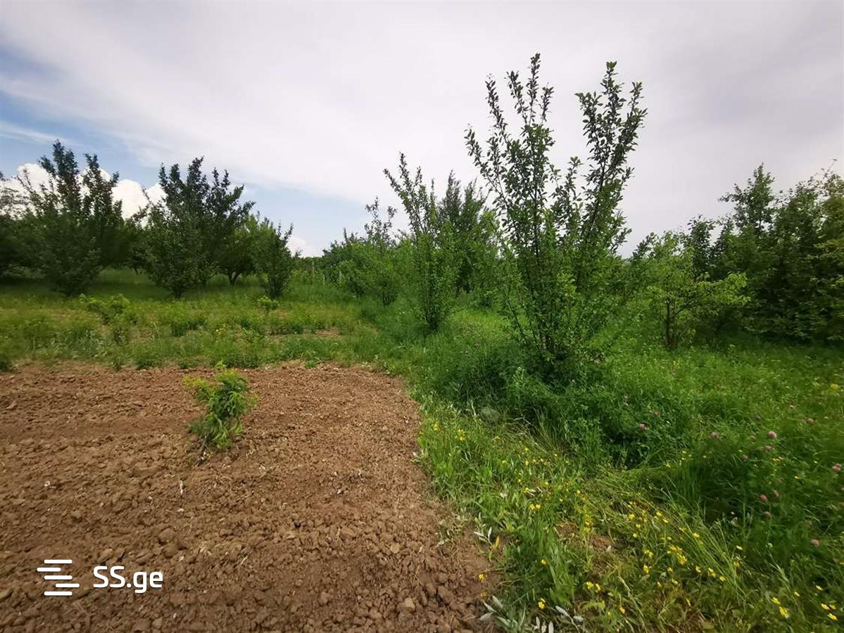 Land For Sale. Gori, 1 of 4