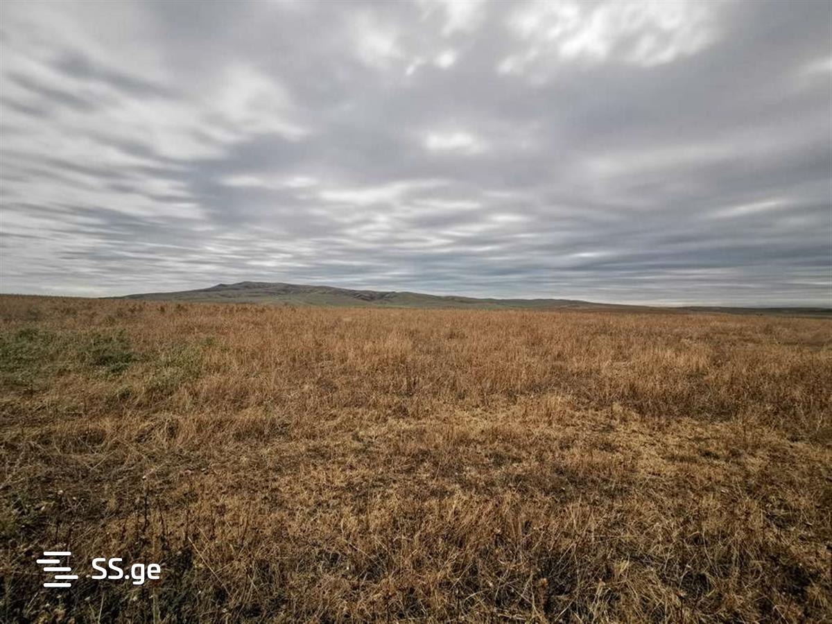 Land For Sale. Tetritskaro, 6600 7783828 ss.ge Free ads