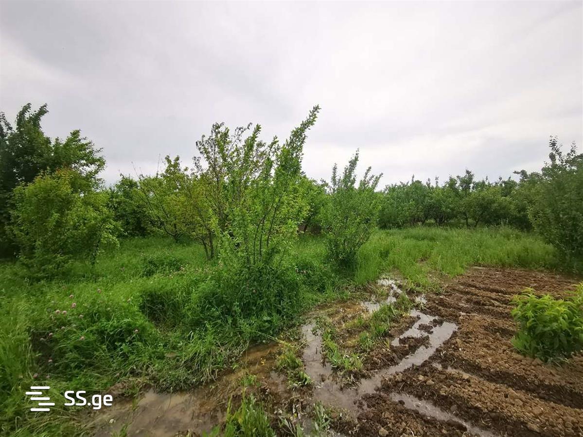 Land For Sale. Gori, 3 of 4