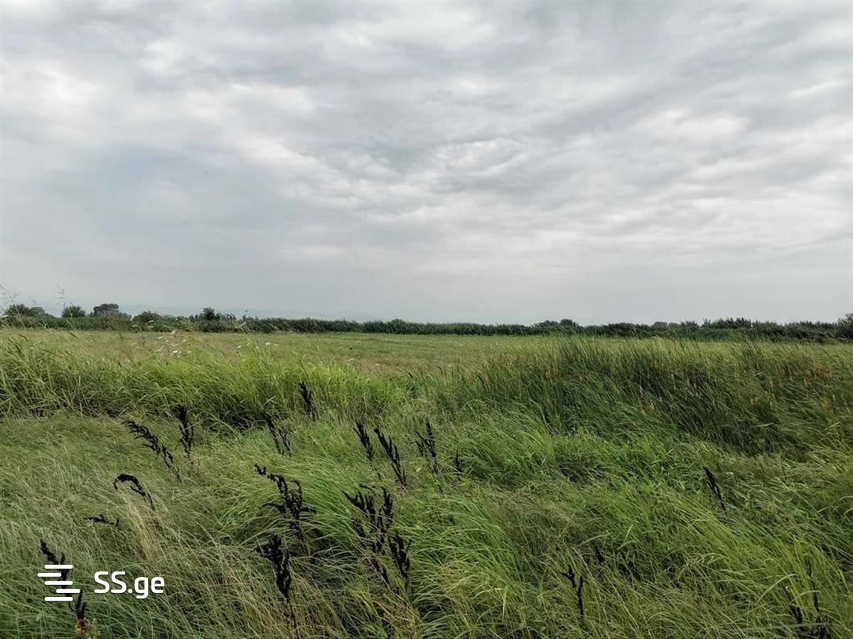 Land For Sale. Gardabani, 3 of 4