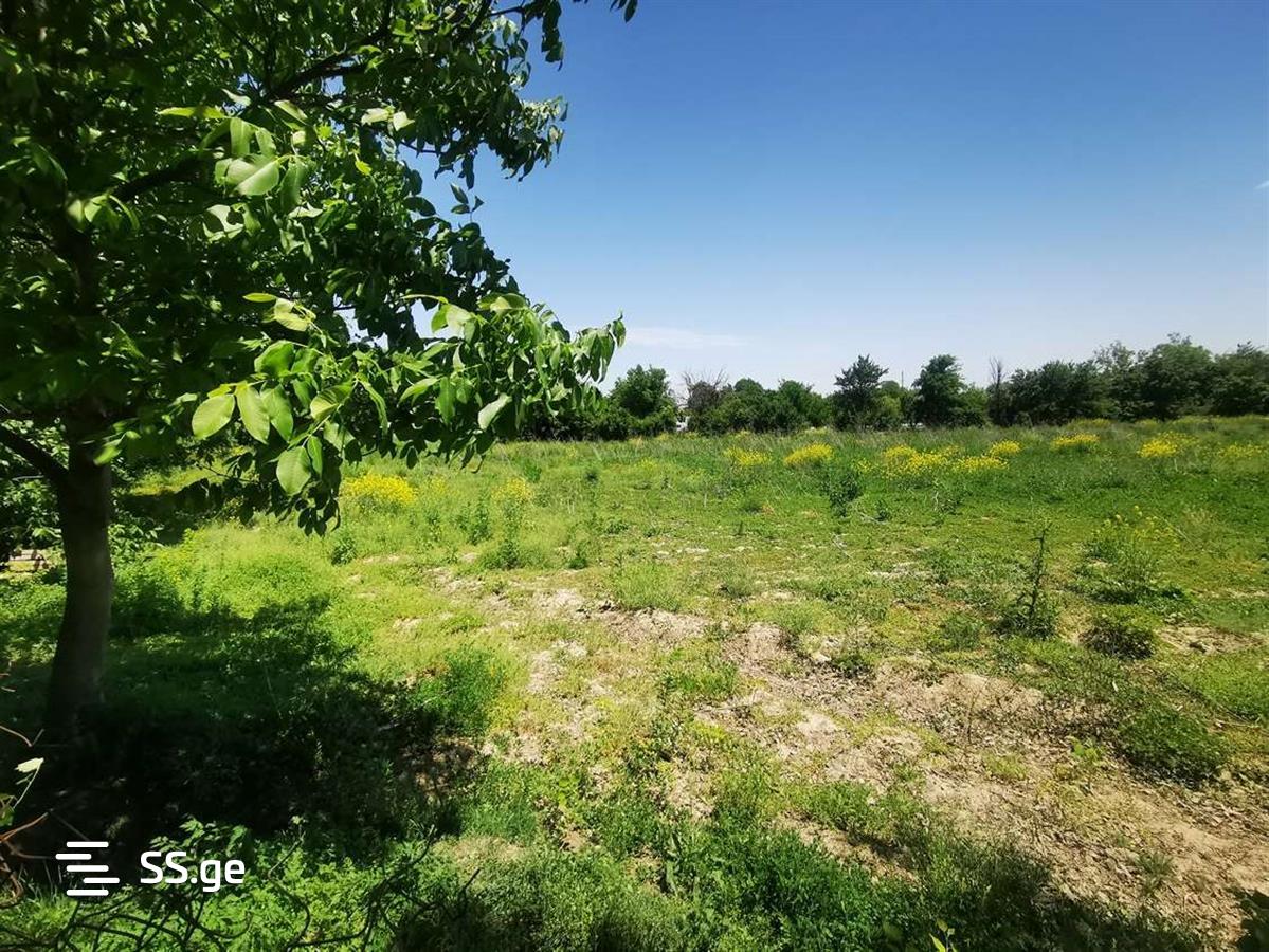 Land For Sale. Gori, 1 of 4