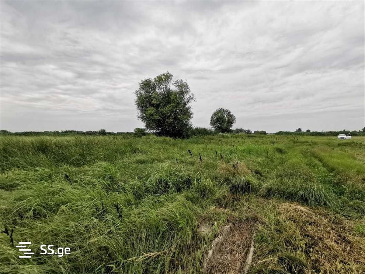Land For Sale. Gardabani, 2 of 4