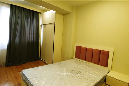 3 room Flat For Rent. Didi digomi  - picture #4