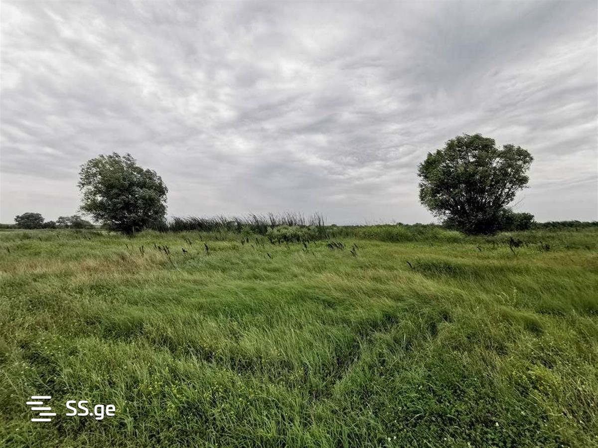 Land For Sale. Gardabani, 1 of 4