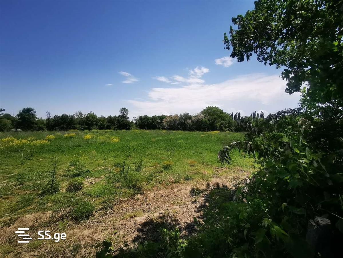 Land For Sale. Gori, 2 of 4