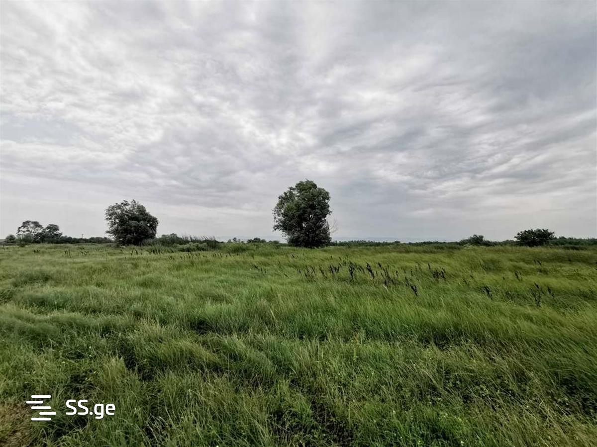 Land For Sale. Gardabani, 4 of 4