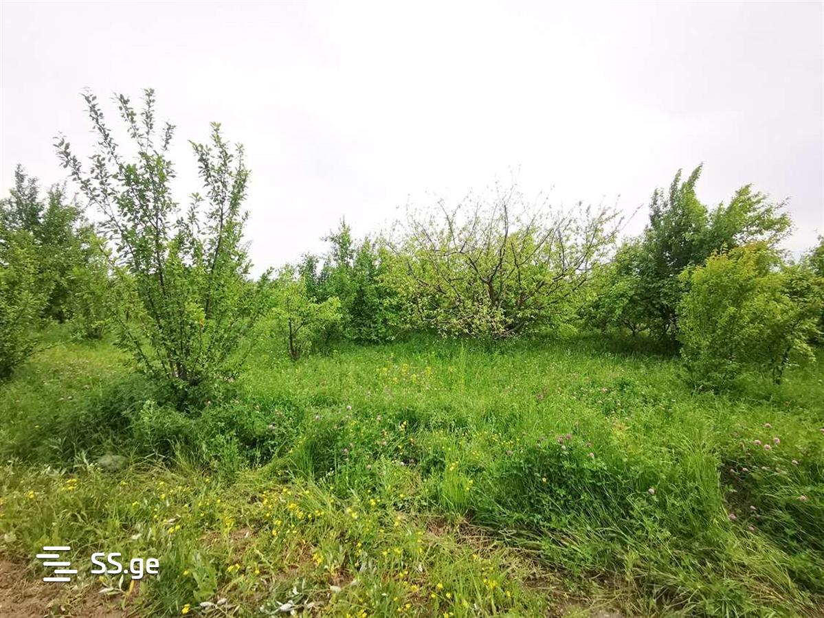 Продажа Земля в Гори view 6
