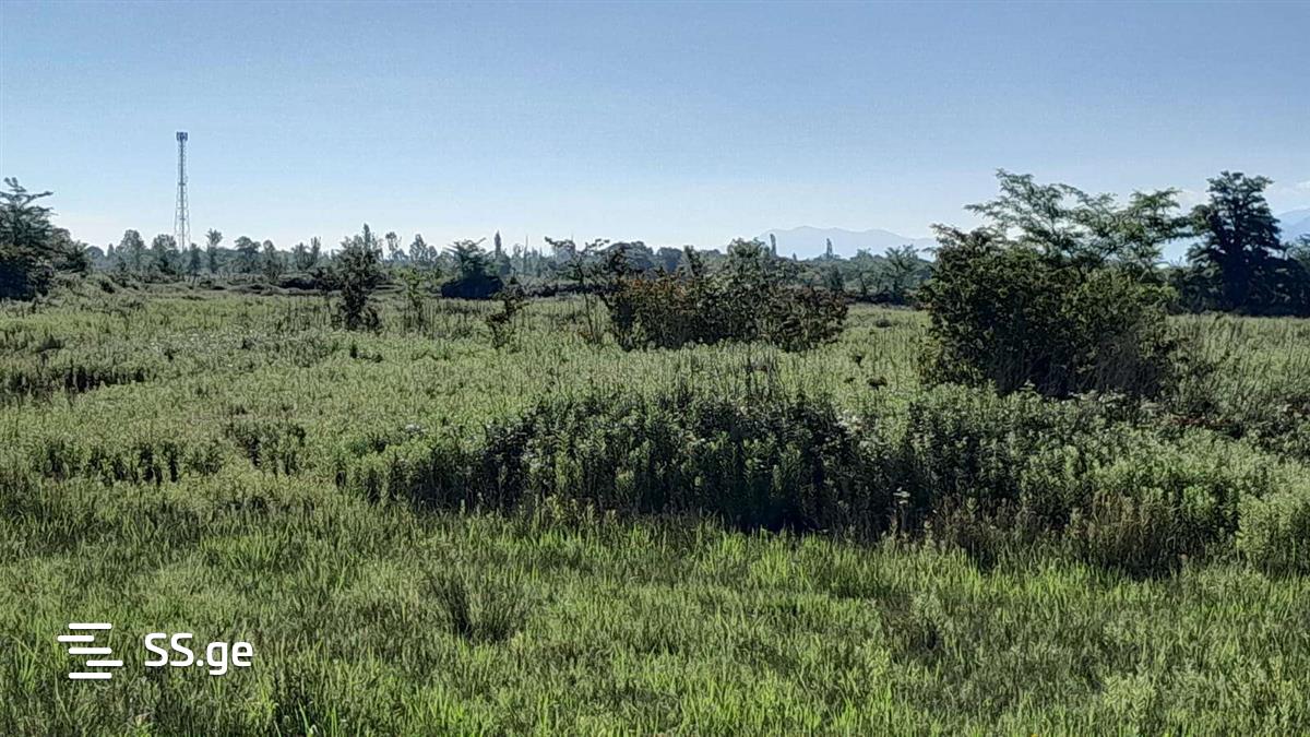 Land For Sale. Samtredia view 8