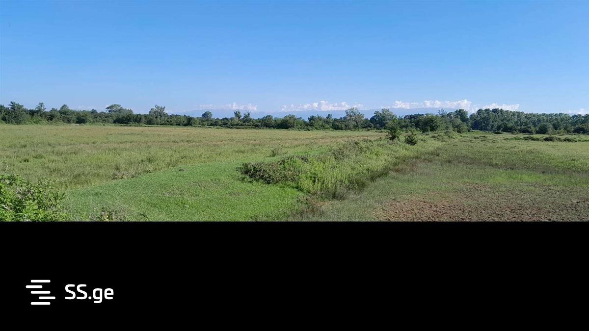 Land For Sale. Samtredia view 1