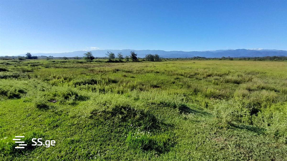 Land For Sale. Samtredia view 11