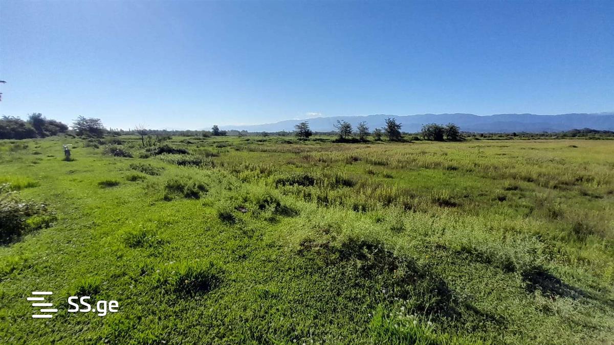 Land For Sale. Samtredia view 2