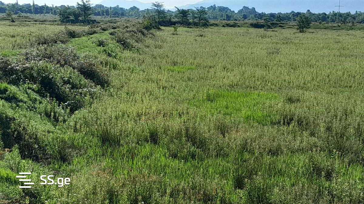 Land For Sale. Samtredia view 7