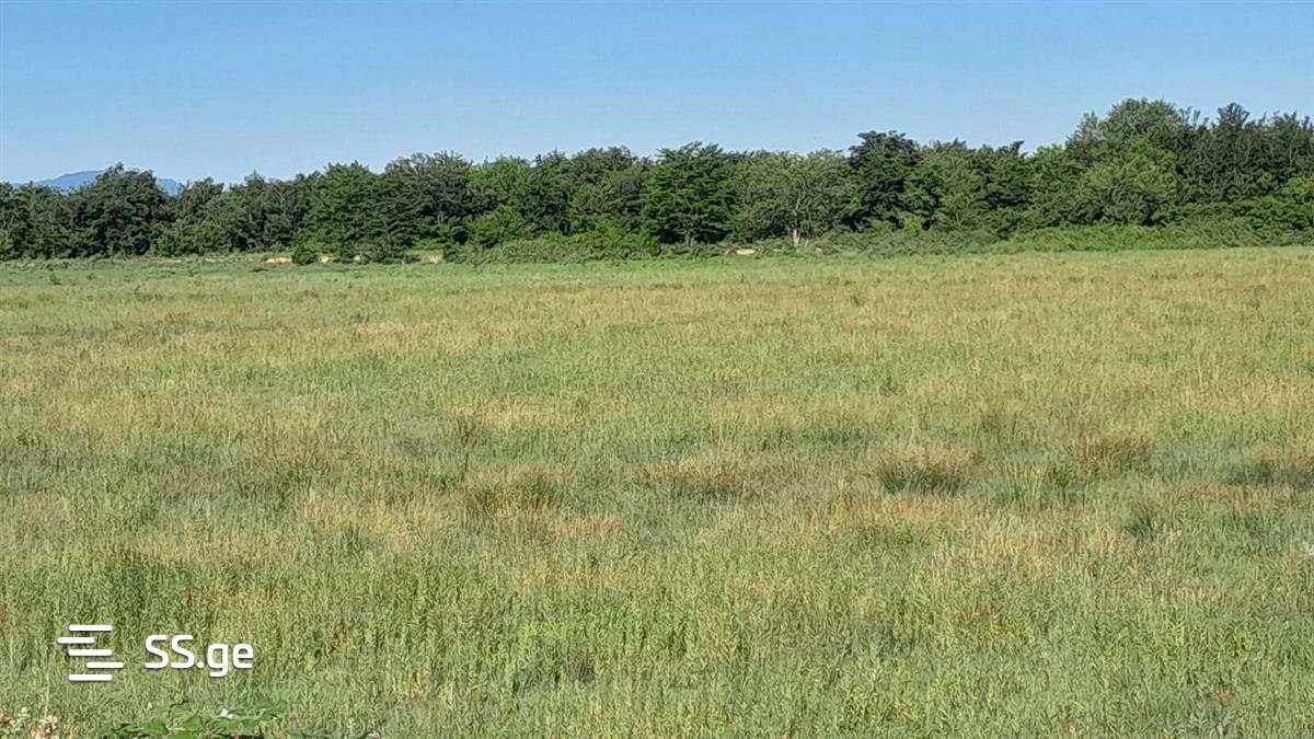 Land For Sale. Samtredia view 10