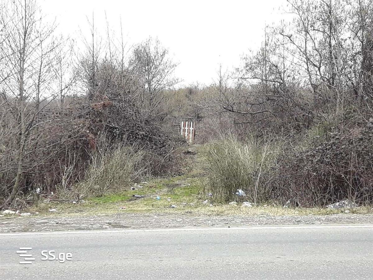 For Sale Sasoplo-Sameurneo Land Plot Ozurgetis Munitsipalitetshi view 15