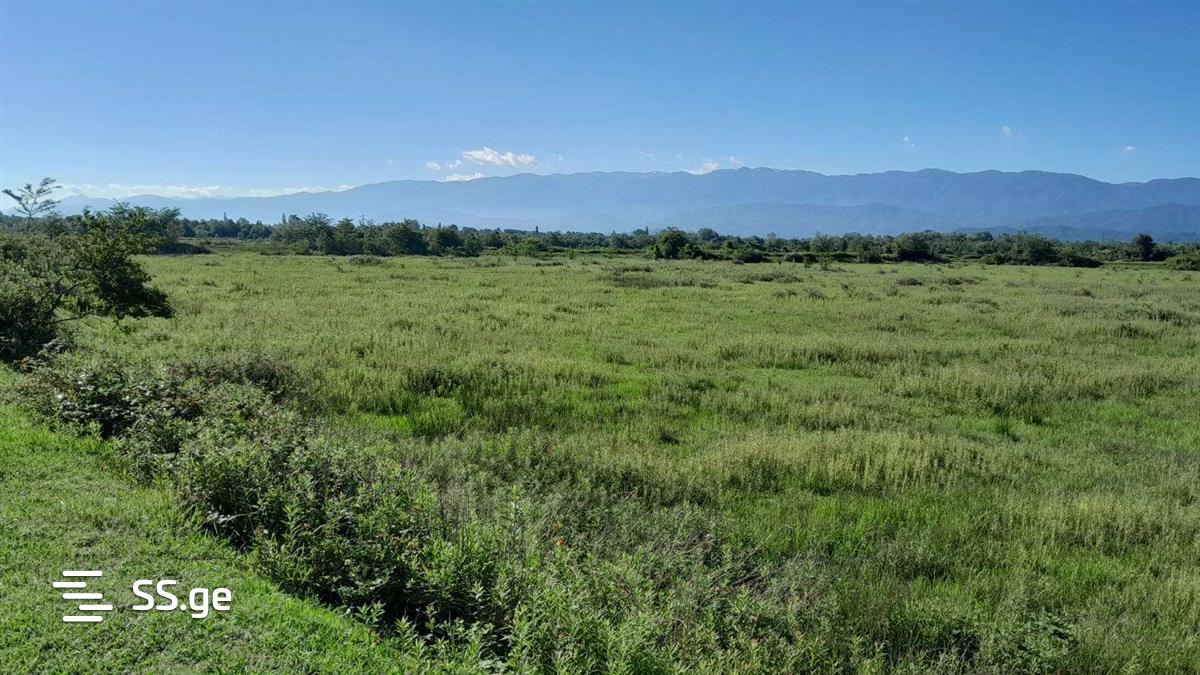 Land For Sale. Samtredia view 9
