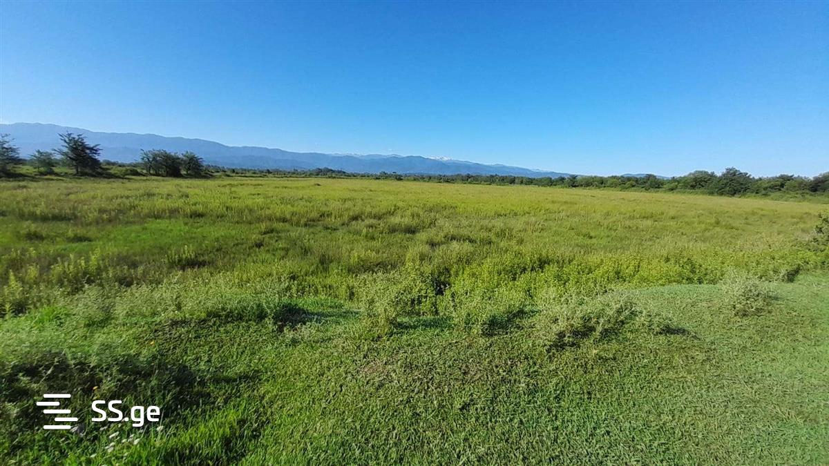 Land For Sale. Samtredia view 6