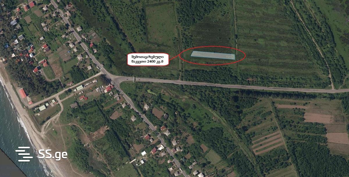 For Sale Sasoplo-Sameurneo Land Plot Ozurgetis Munitsipalitetshi view 18