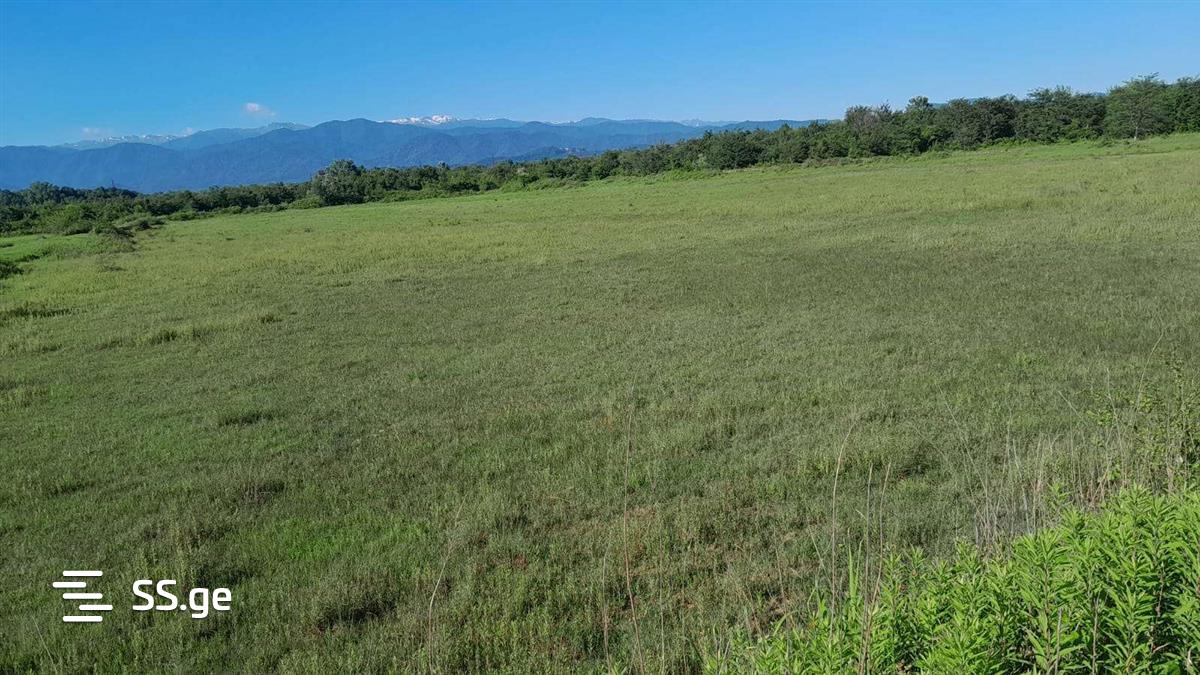 Land For Sale. Samtredia view 12