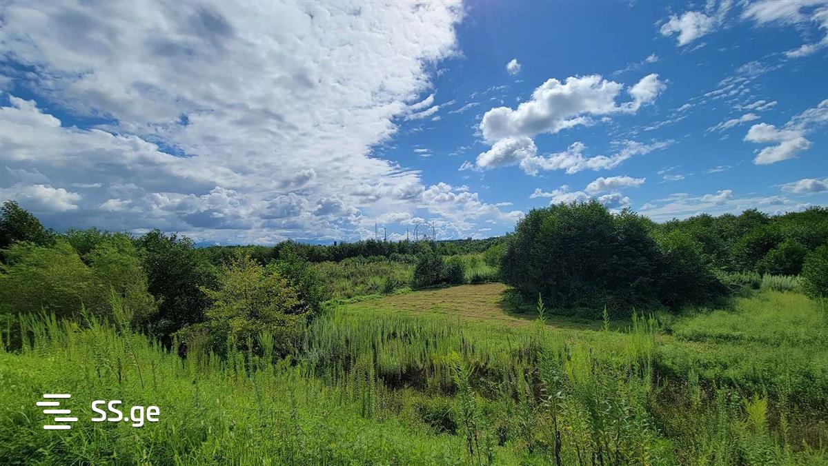 Land For Sale. Zemo Natanebi, 19000 7788284 ss.ge