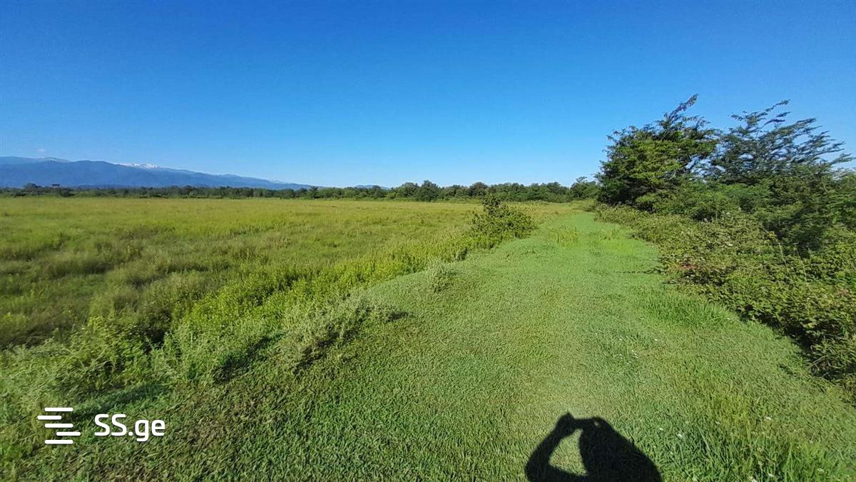 Land For Sale. Samtredia view 5
