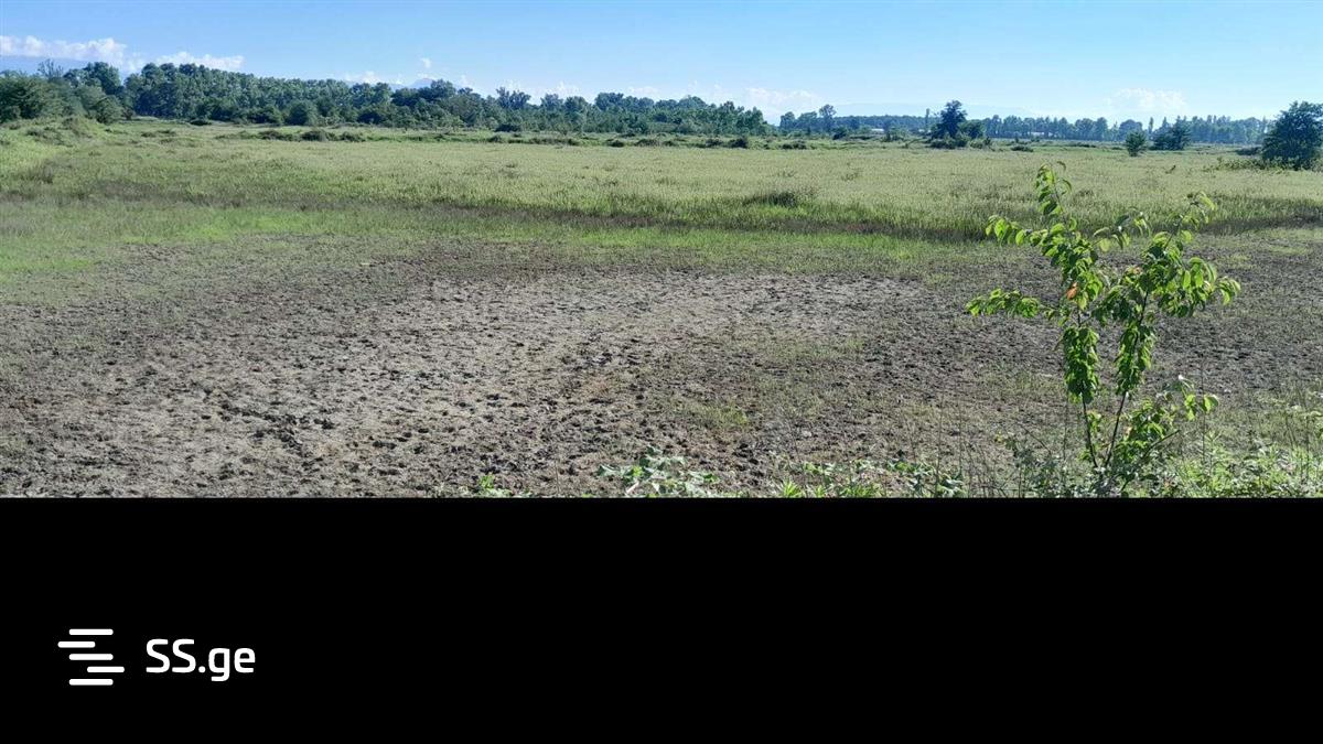Land For Sale. Samtredia view 4