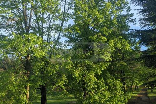 https://static.ss.ge/20230927/11_576472e2-9705-4054-bd3d-dda3545d92ce_Thumb.jpg
