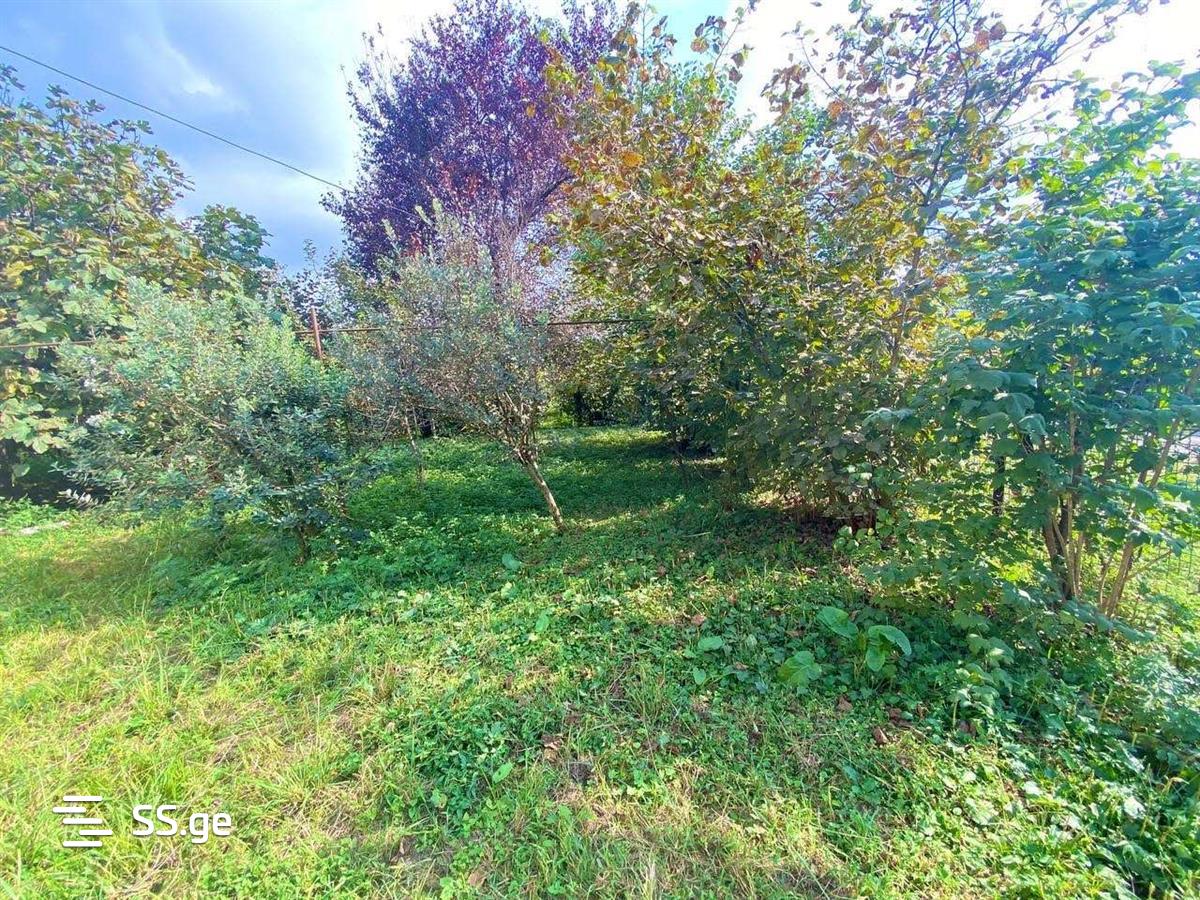 5 Room Private House For Sale view 11